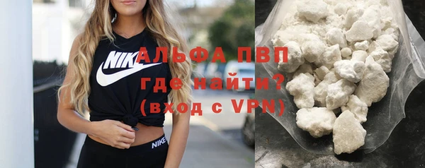 индика Богородицк