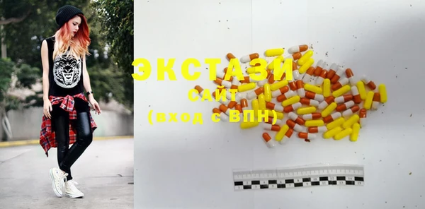 индика Богородицк