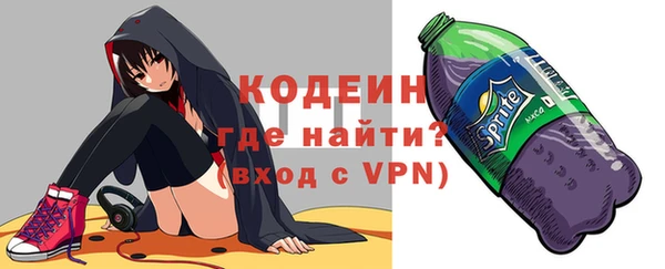 индика Богородицк