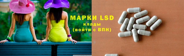 индика Богородицк