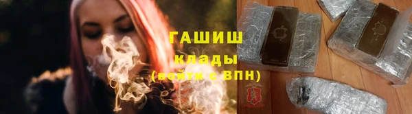 индика Богородицк