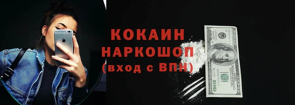 индика Богородицк