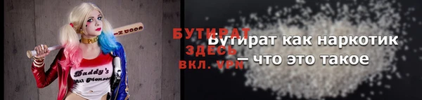 индика Богородицк