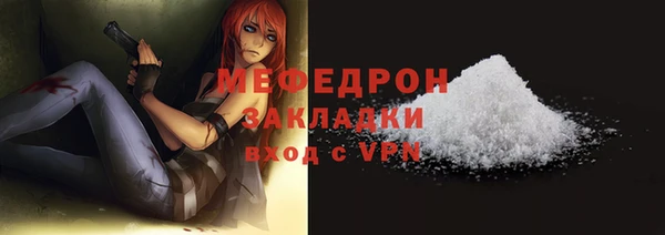 индика Богородицк