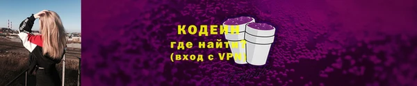индика Богородицк