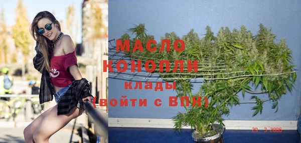 индика Богородицк