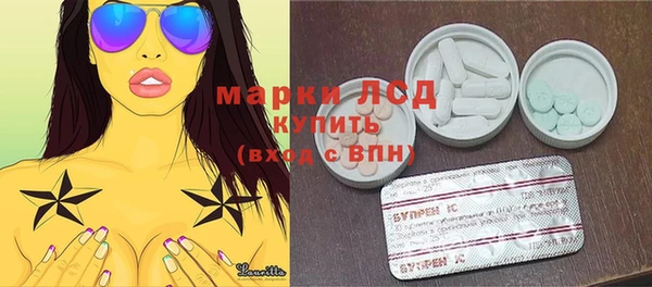 индика Богородицк