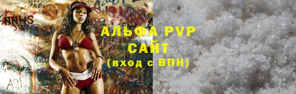 бошки Тайга