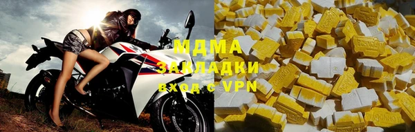индика Богородицк