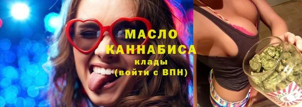 индика Богородицк