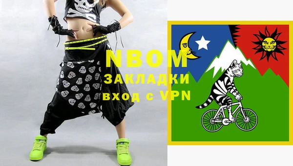 индика Богородицк