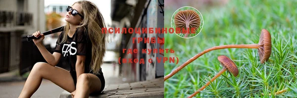 мяу мяу мука Богородск