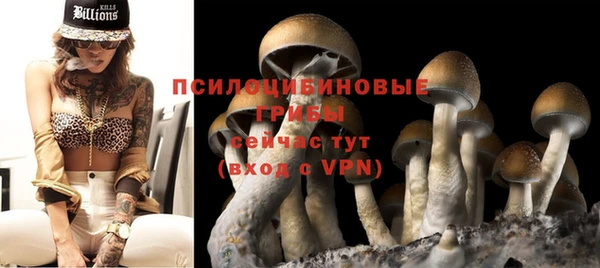 индика Богородицк