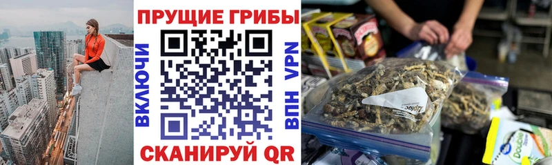 Псилоцибиновые грибы ЛСД  где можно купить   Котлас 