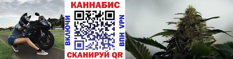 Бошки Шишки семена Котлас